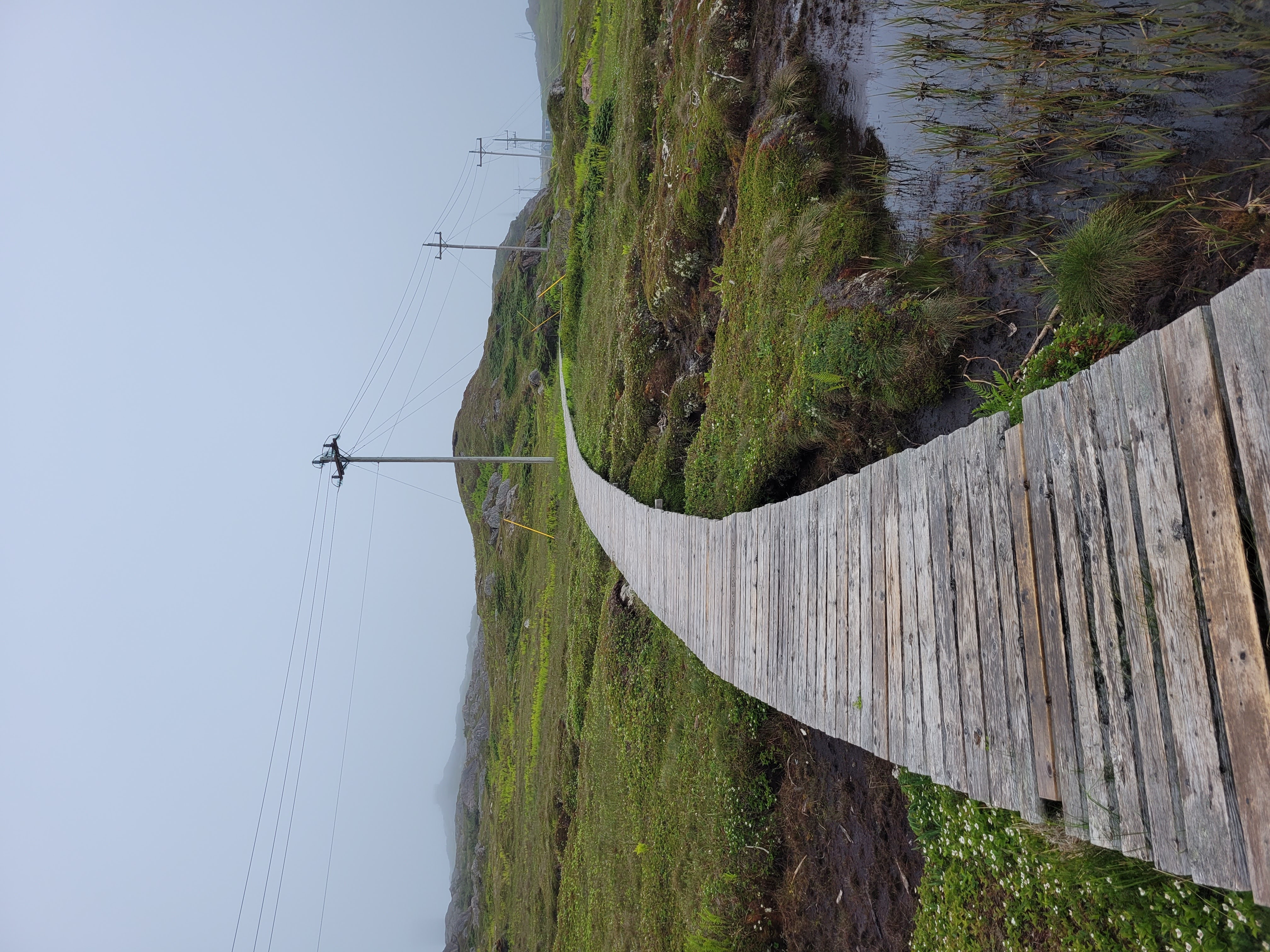../../img/newfoundlandsouth/rameatrail.jpg