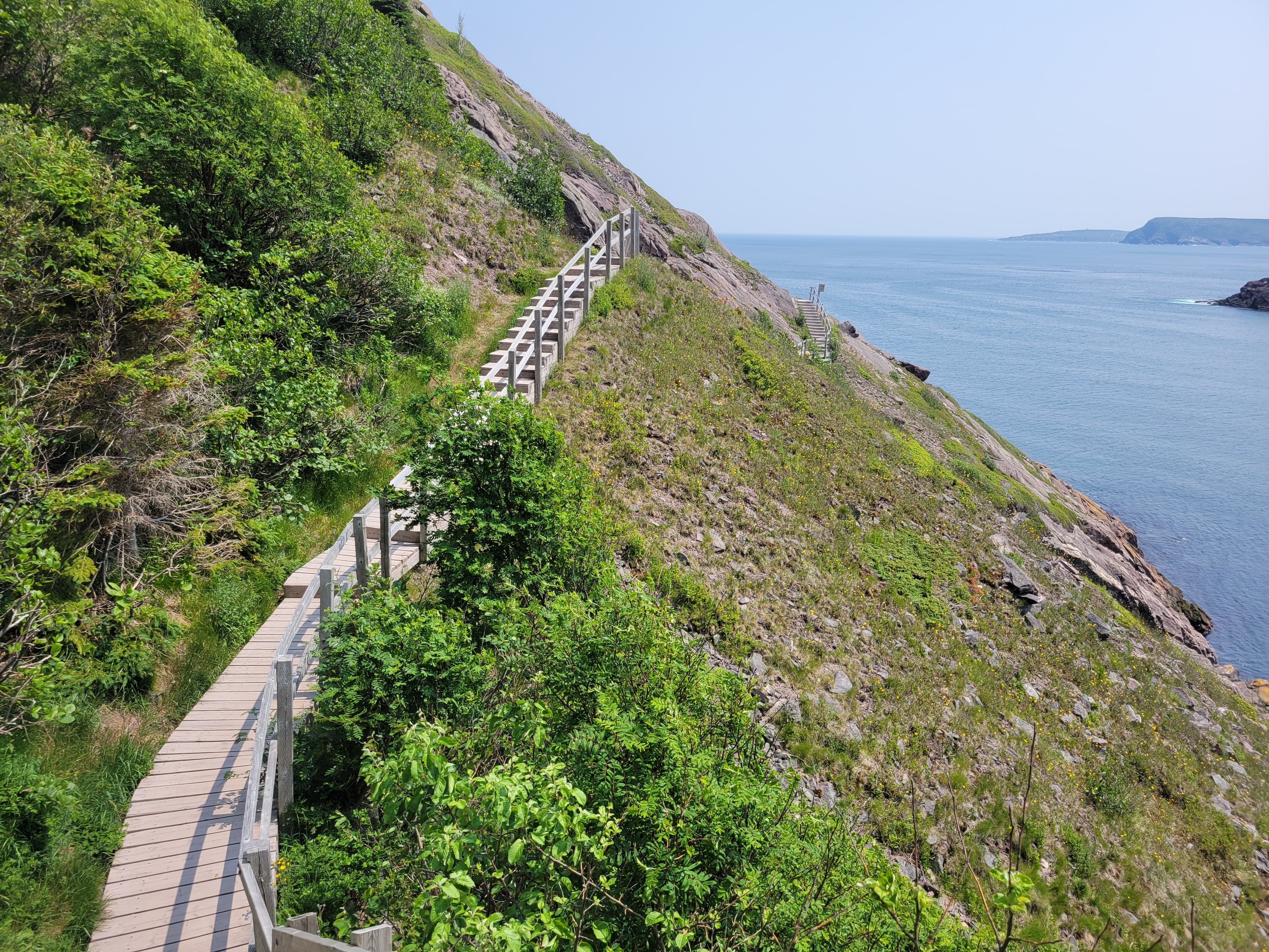 ../../img/stjohns/trail.jpg